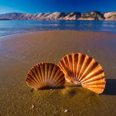 In Palit With Balcony, Air Conditioning, Wi-fi Apartament